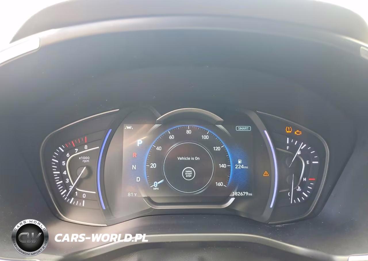 2019 Hyundai Santa Fe Limited 2.4L VIN:5NMS53AD9KH062013 - 9