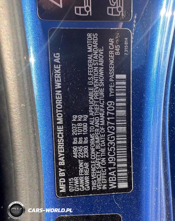 2016 BMW M235Xi VIN:WBA1J9C53GV371709 - 10