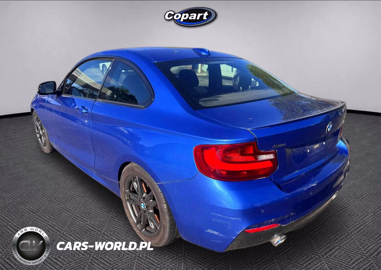 2016 BMW M235Xi VIN:WBA1J9C53GV371709 - 3