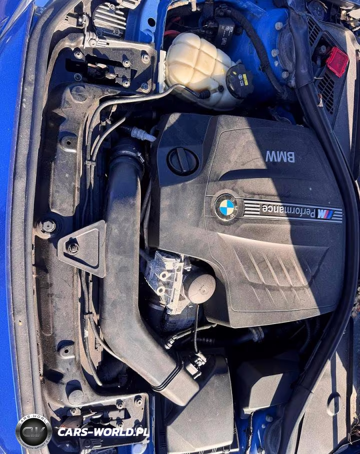 2016 BMW M235Xi VIN:WBA1J9C53GV371709 - 7