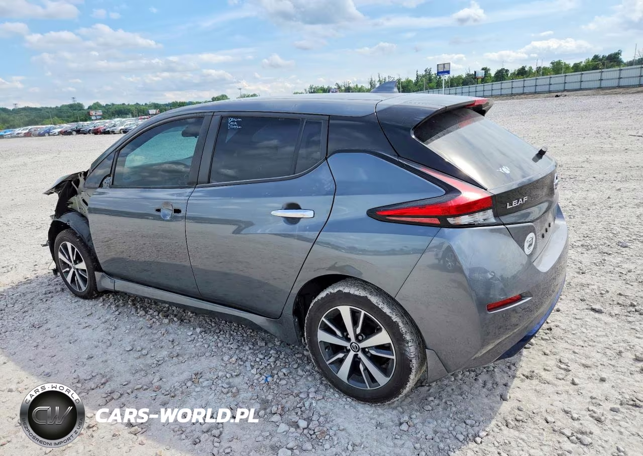 2020 Nissan Leaf S Plus VIN:1N4BZ1BP4LC307789 - 2