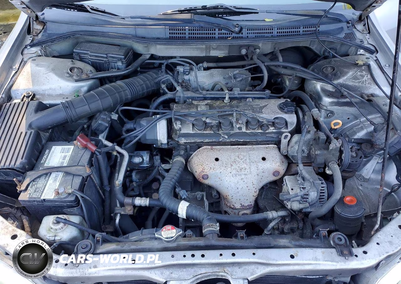 2001 Honda Accord Lx VIN:1HGCG56451A103038 - 11