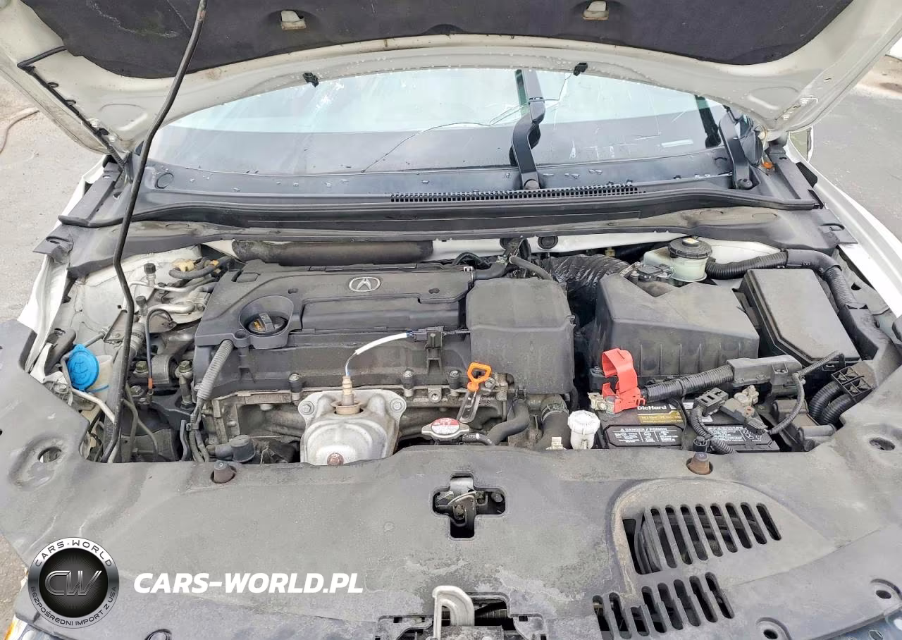 2019 Acura Ilx Premium A-Spec VIN:19UDE2F8XKA005040 - 11