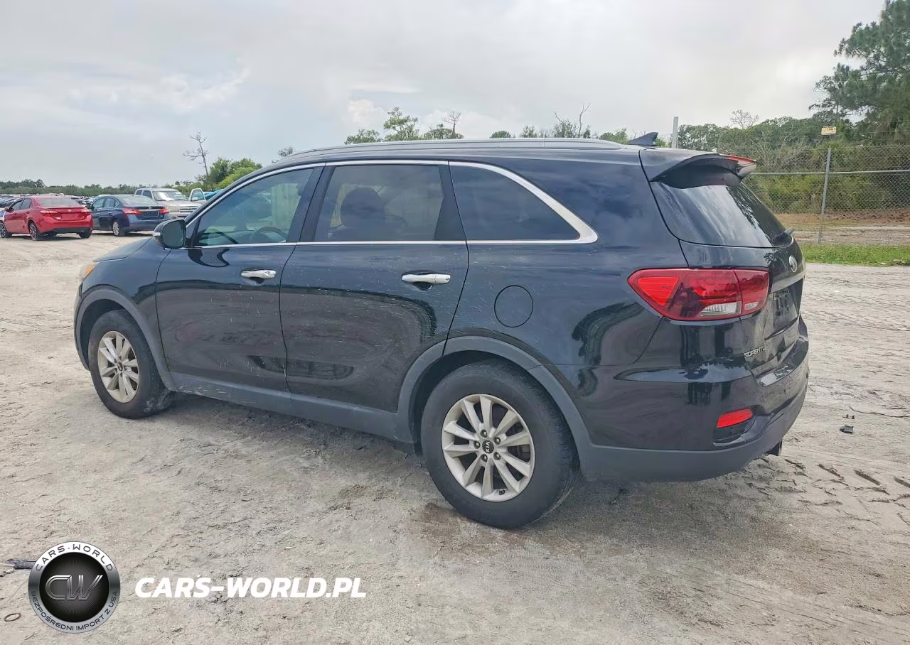 2019 Kia Sorento Lx VIN:5XYPG4A37KG524205 - 2