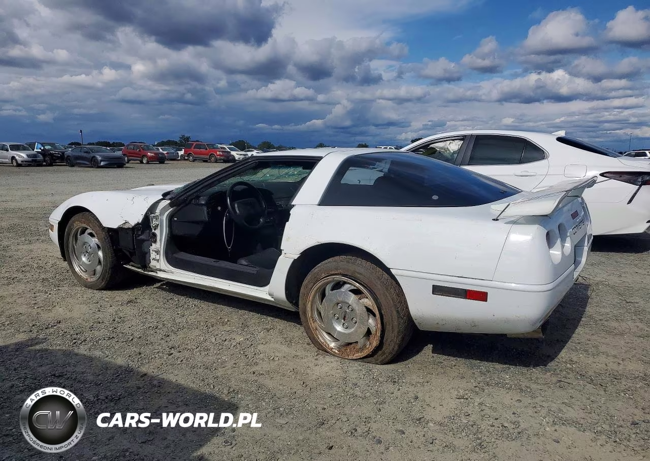 1995 Chevrolet Corvette VIN:1G1YY22P7S5110933 - 2