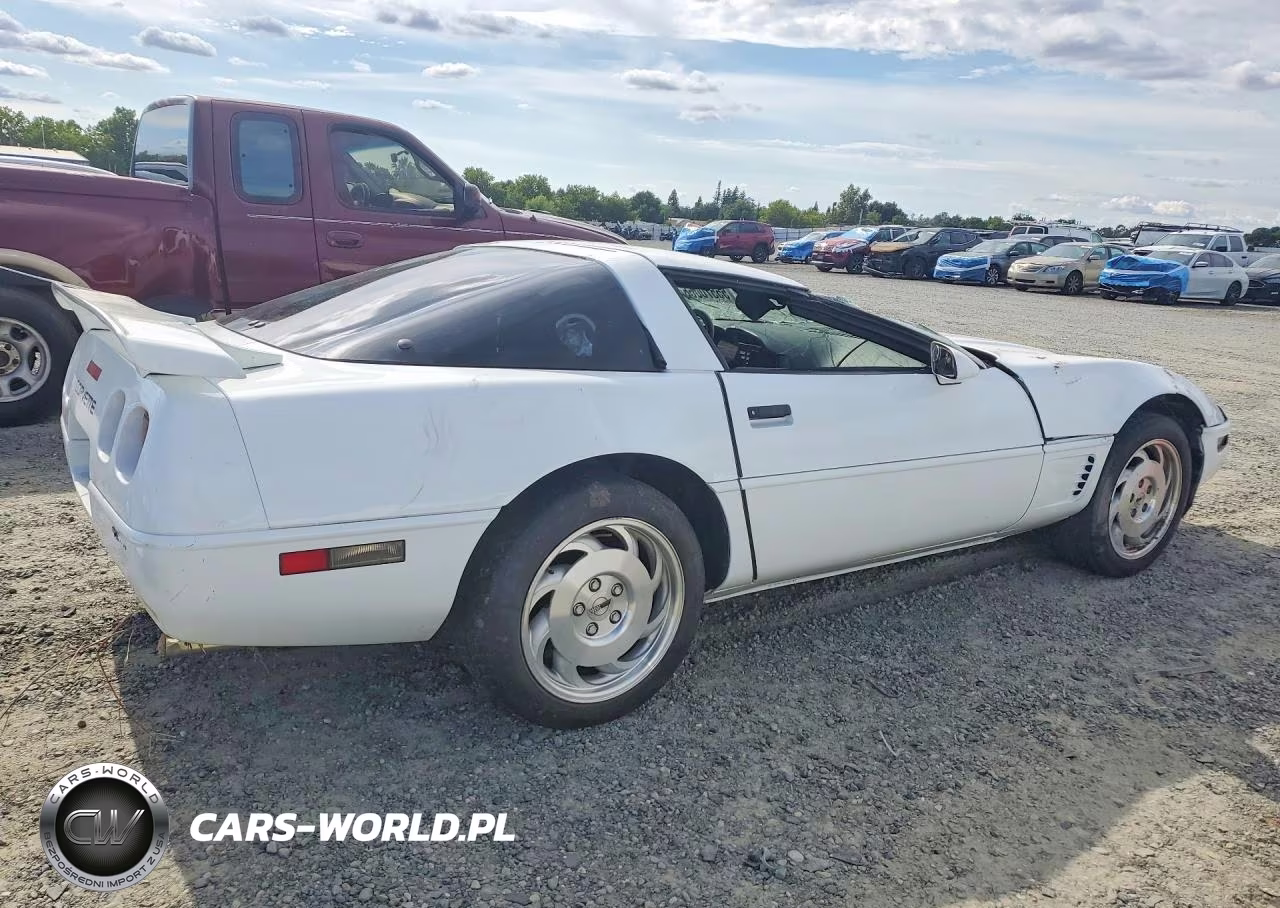 1995 Chevrolet Corvette VIN:1G1YY22P7S5110933 - 3