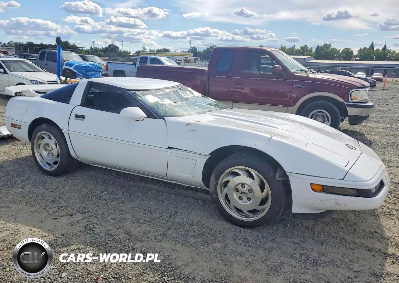 1995 Chevrolet Corvette VIN:1G1YY22P7S5110933 - 4