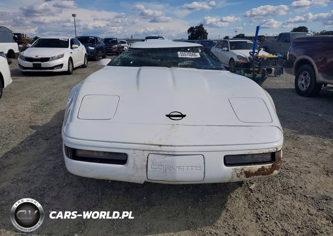 1995 Chevrolet Corvette VIN:1G1YY22P7S5110933 - 5
