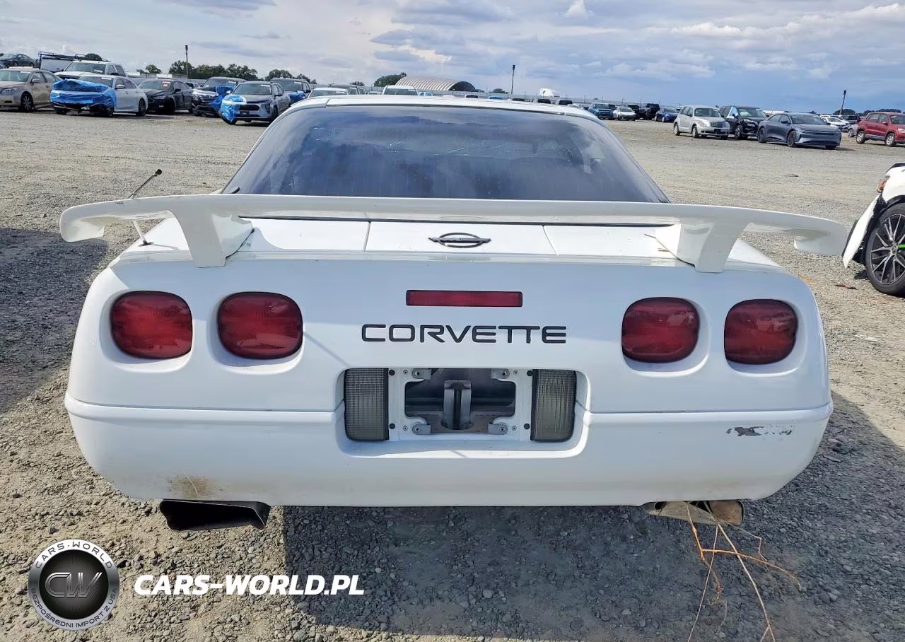 1995 Chevrolet Corvette VIN:1G1YY22P7S5110933 - 6