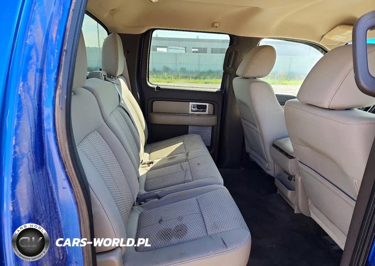 2010 Ford F150 Supercrew VIN:1FTFW1EV3AFB59659 - 10