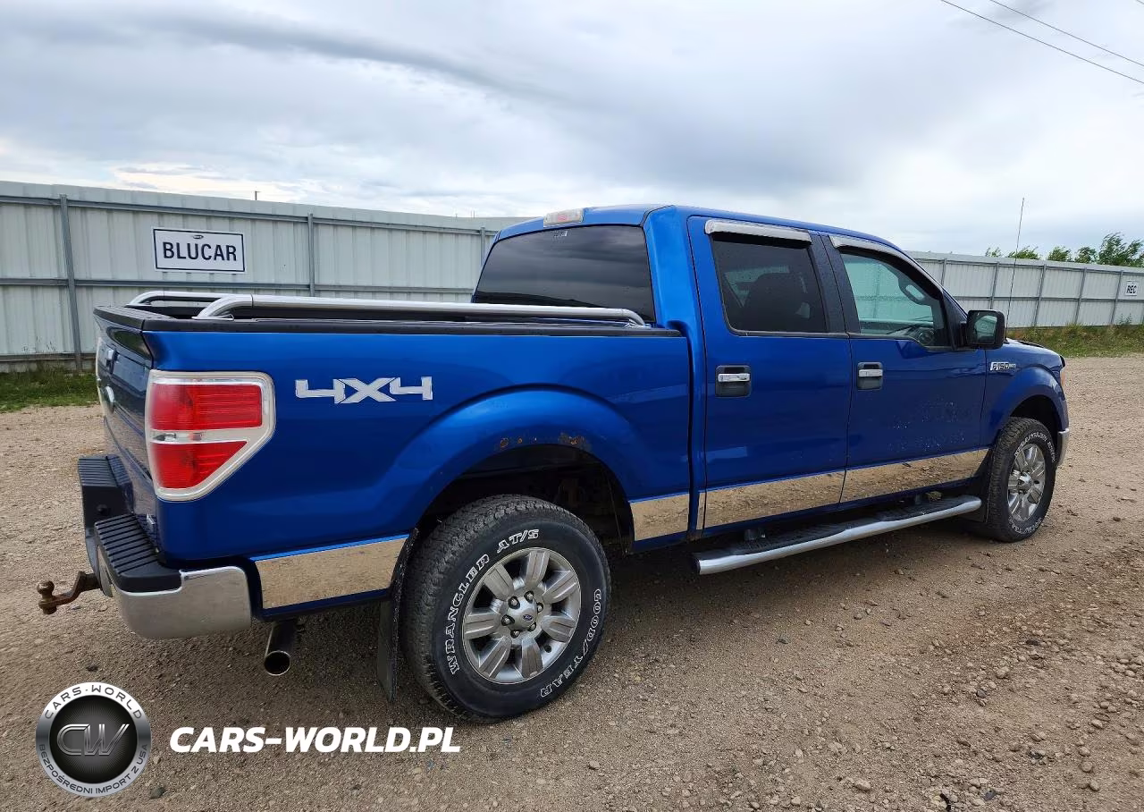 2010 Ford F150 Supercrew VIN:1FTFW1EV3AFB59659 - 3
