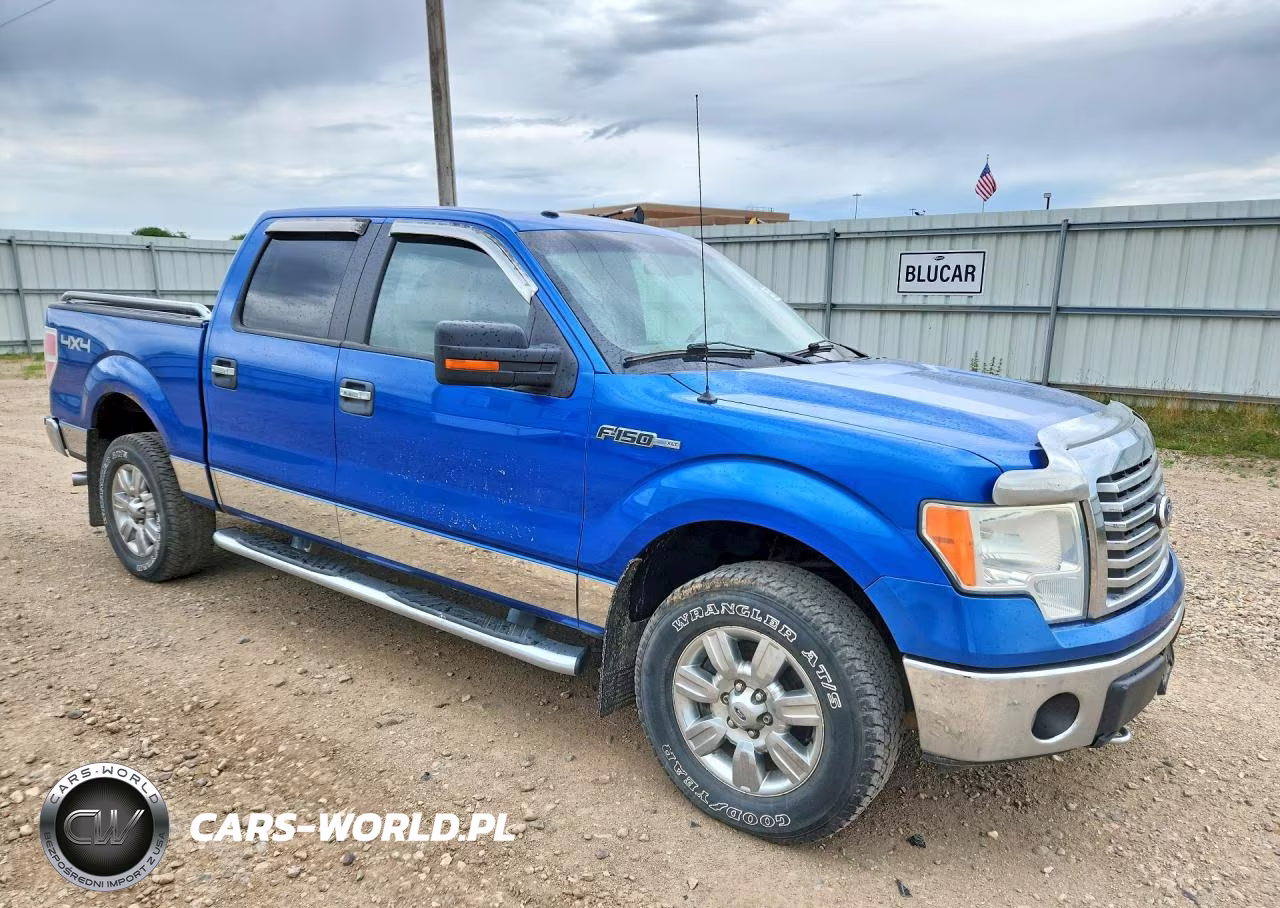 2010 Ford F150 Supercrew VIN:1FTFW1EV3AFB59659 - 4