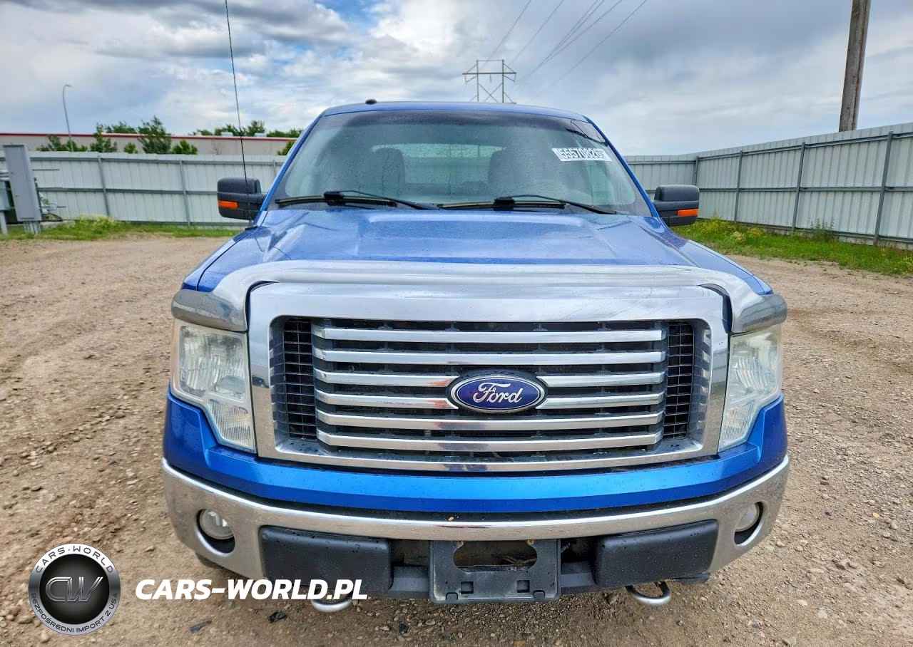2010 Ford F150 Supercrew VIN:1FTFW1EV3AFB59659 - 5