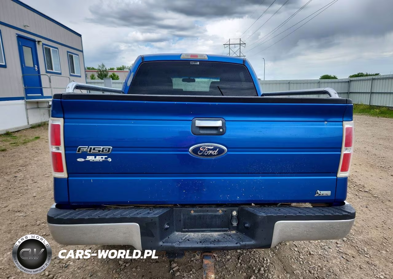 2010 Ford F150 Supercrew VIN:1FTFW1EV3AFB59659 - 6