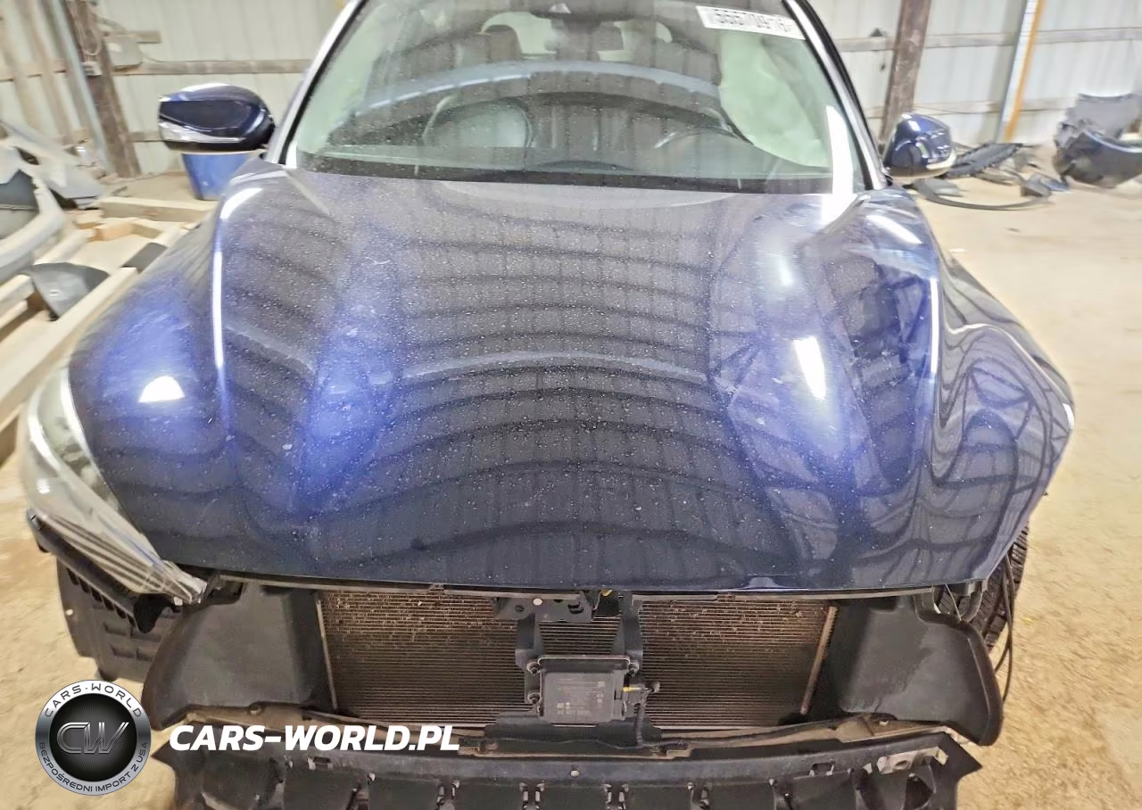 2020 Infiniti Qx50 Pure VIN:3PCAJ5M36LF103819 - 12