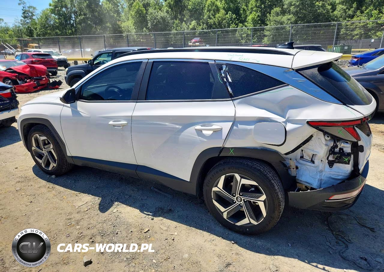 2023 Hyundai Tucson Sel VIN:5NMJF3AE8PH184645 - 2