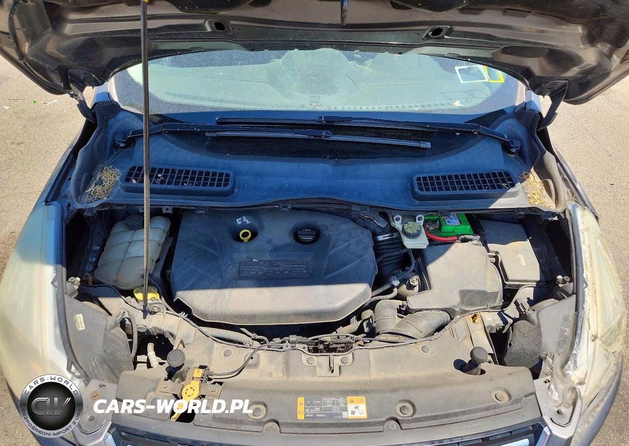 2013 Ford Escape Sel VIN:1FMCU9H94DUA55795 - 12