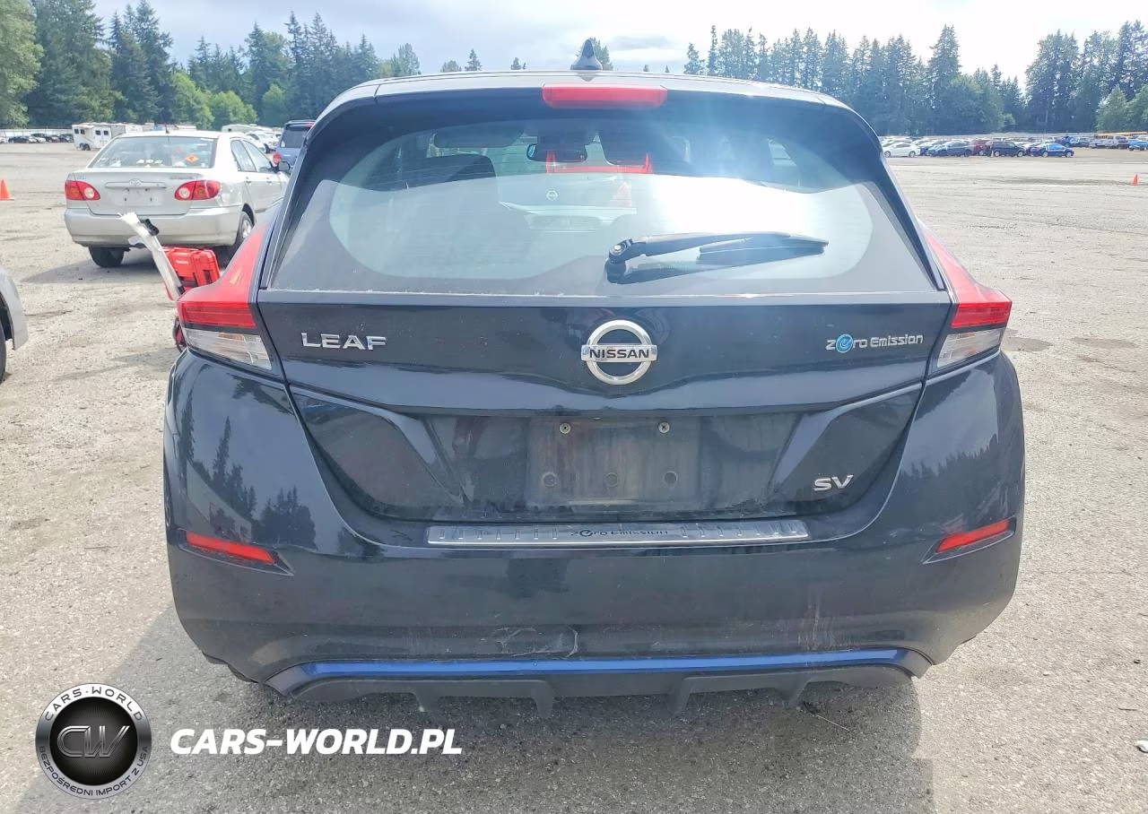 2018 Nissan Leaf Sv VIN:1N4AZ1CP4JC303040 - 6