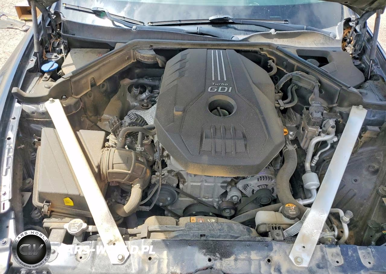 2019 Kia Stinger Base VIN:KNAE15LA0K6065951 - 11