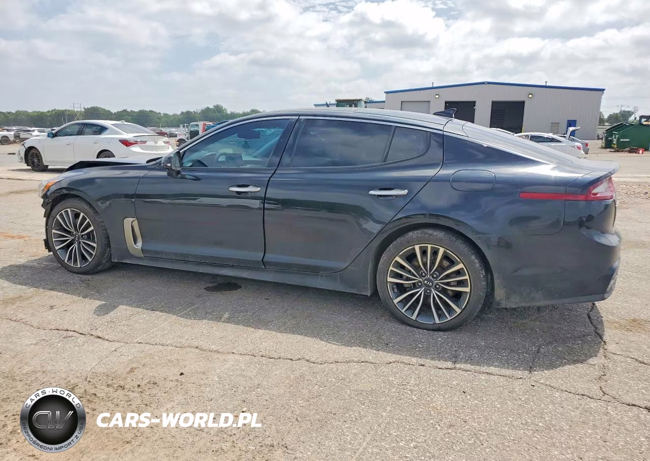 2019 Kia Stinger Base VIN:KNAE15LA0K6065951 - 2