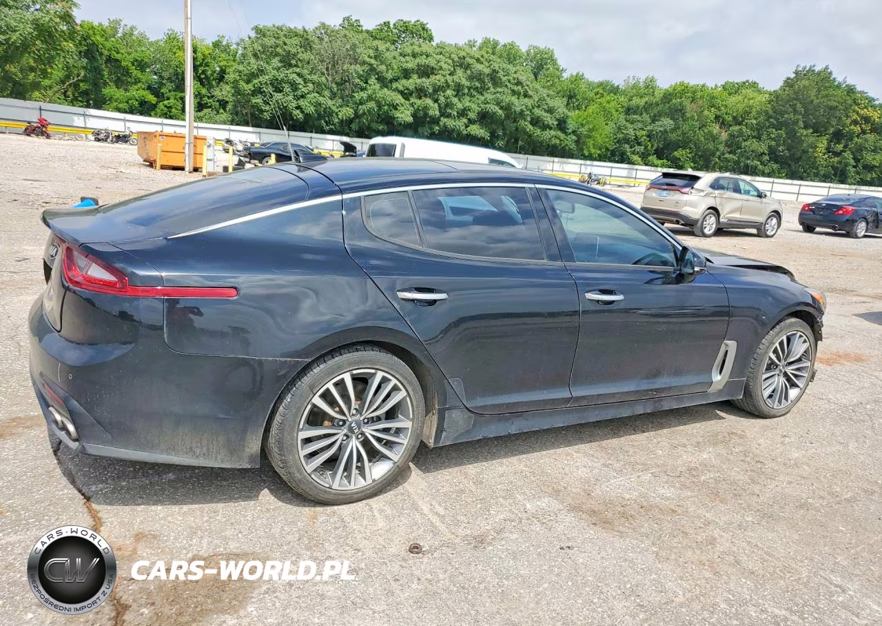2019 Kia Stinger Base VIN:KNAE15LA0K6065951 - 3
