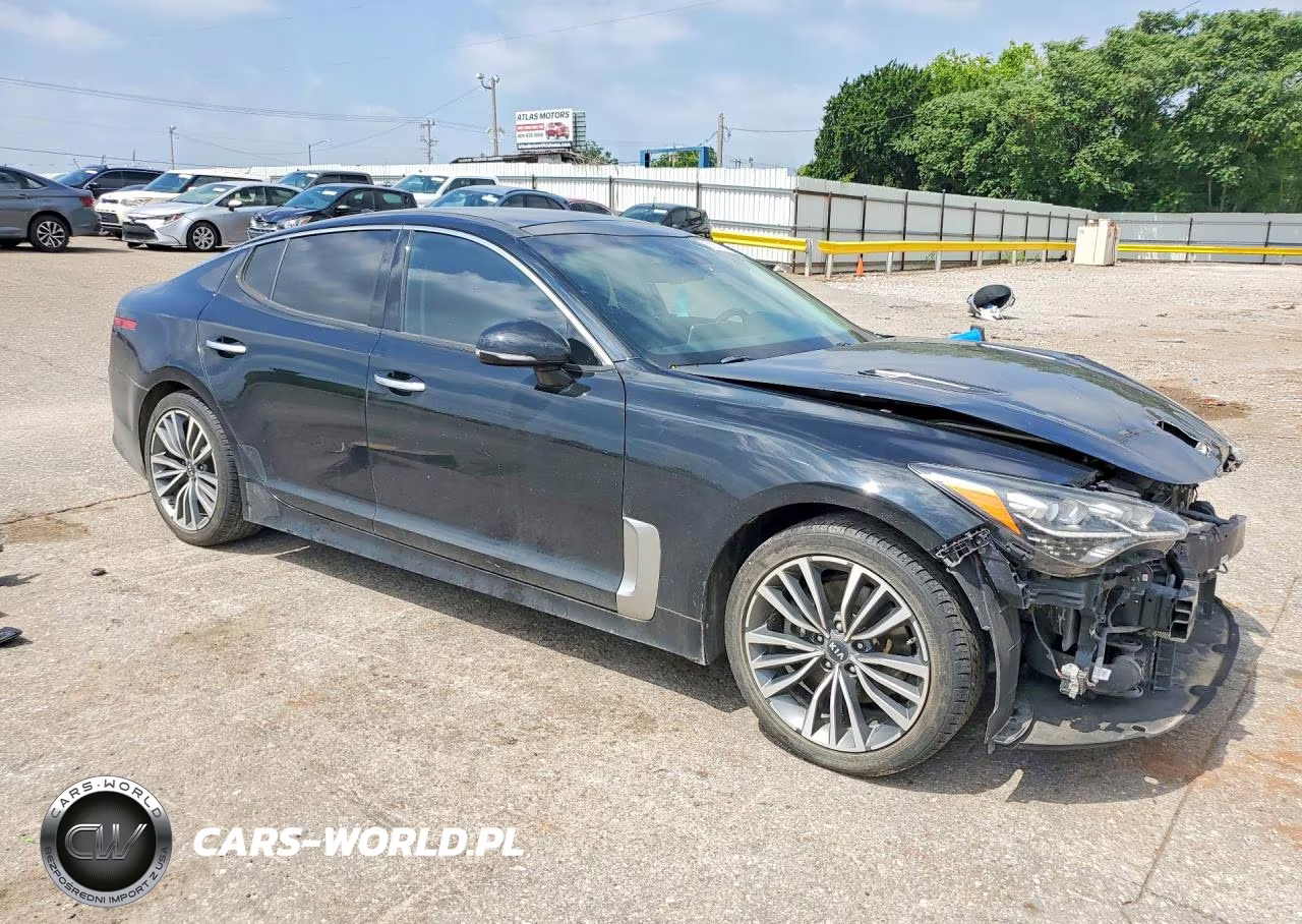 2019 Kia Stinger Base VIN:KNAE15LA0K6065951 - 4