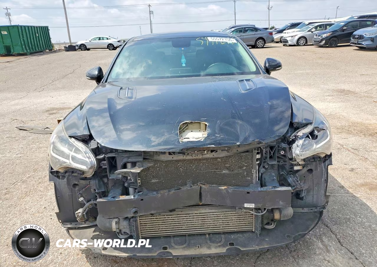 2019 Kia Stinger Base VIN:KNAE15LA0K6065951 - 5