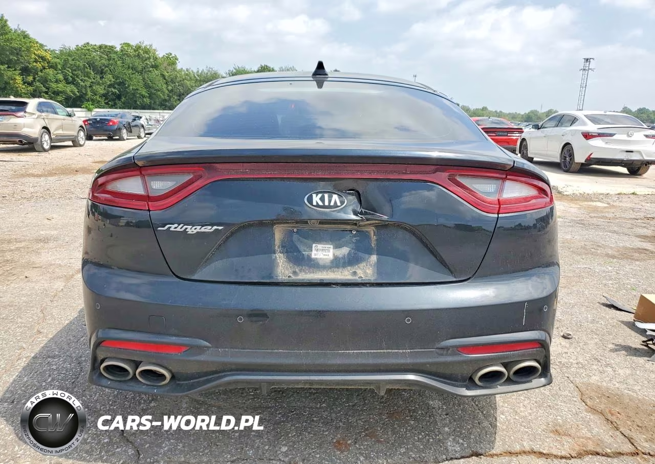 2019 Kia Stinger Base VIN:KNAE15LA0K6065951 - 6