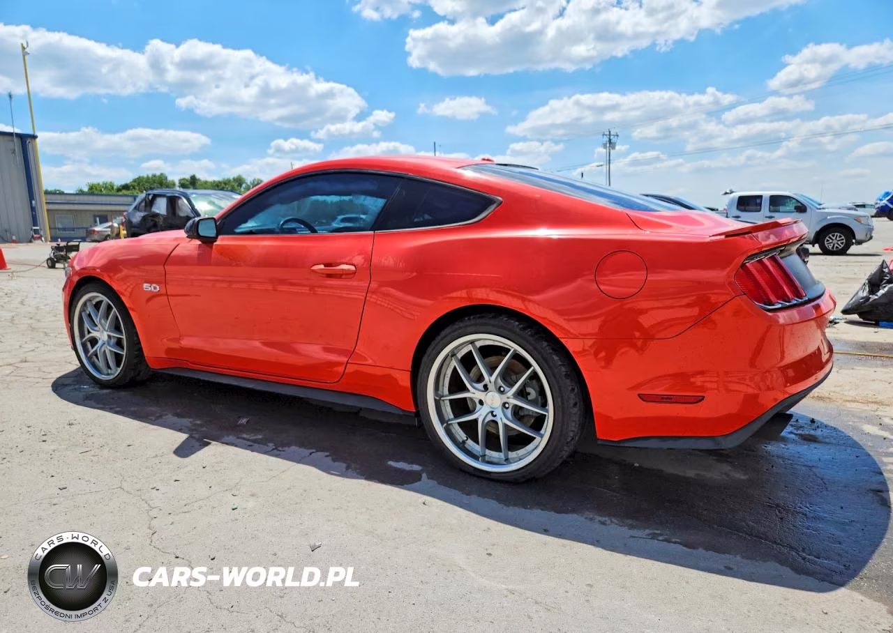 2015 Ford Mustang Gt VIN:1FA6P8CF8F5313108 - 2