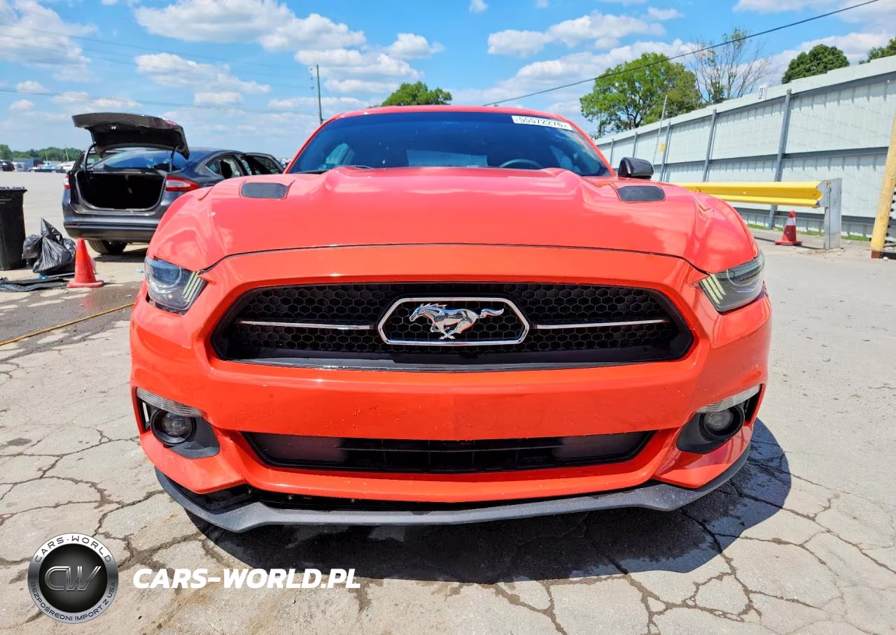 2015 Ford Mustang Gt VIN:1FA6P8CF8F5313108 - 5