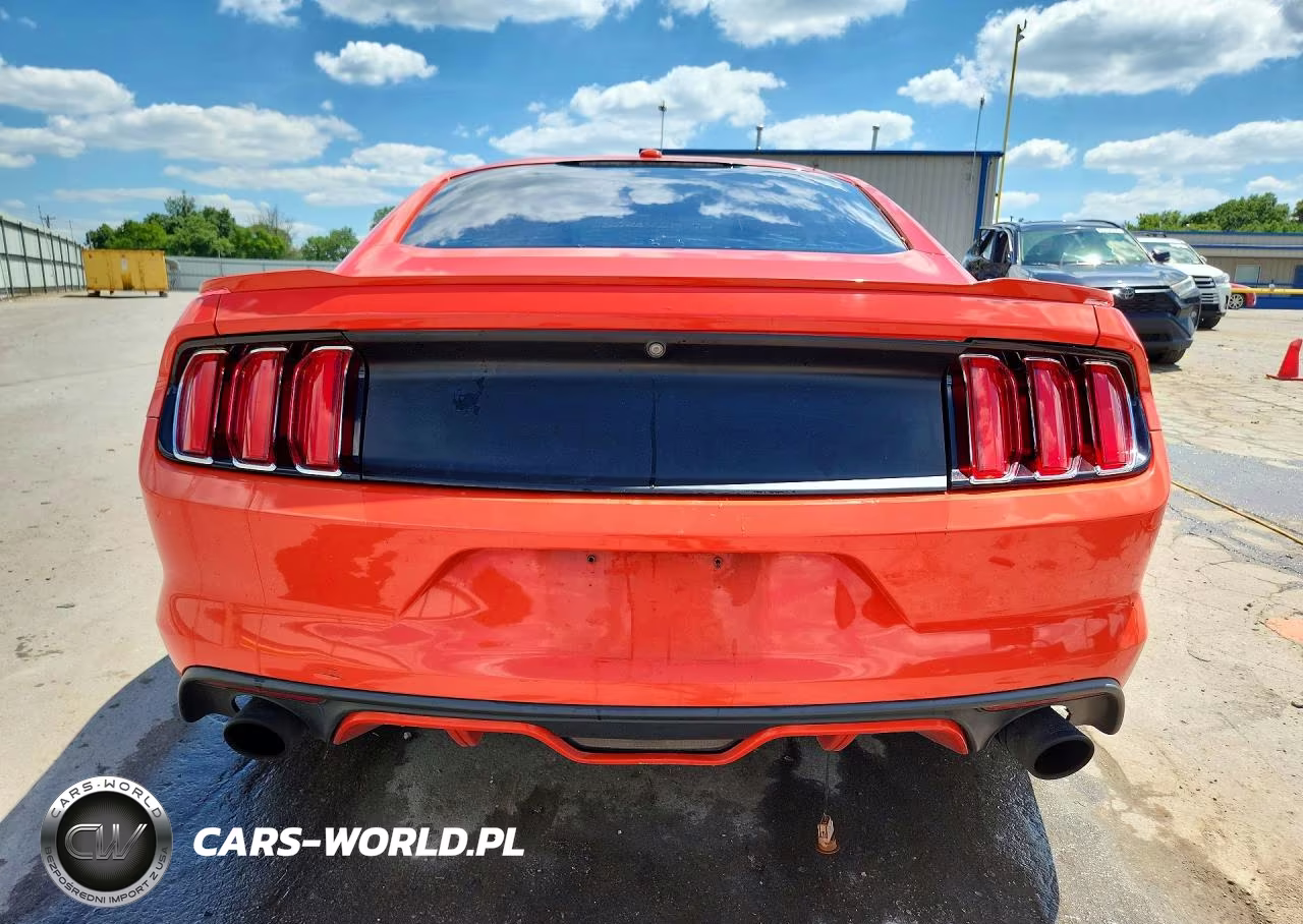 2015 Ford Mustang Gt VIN:1FA6P8CF8F5313108 - 6