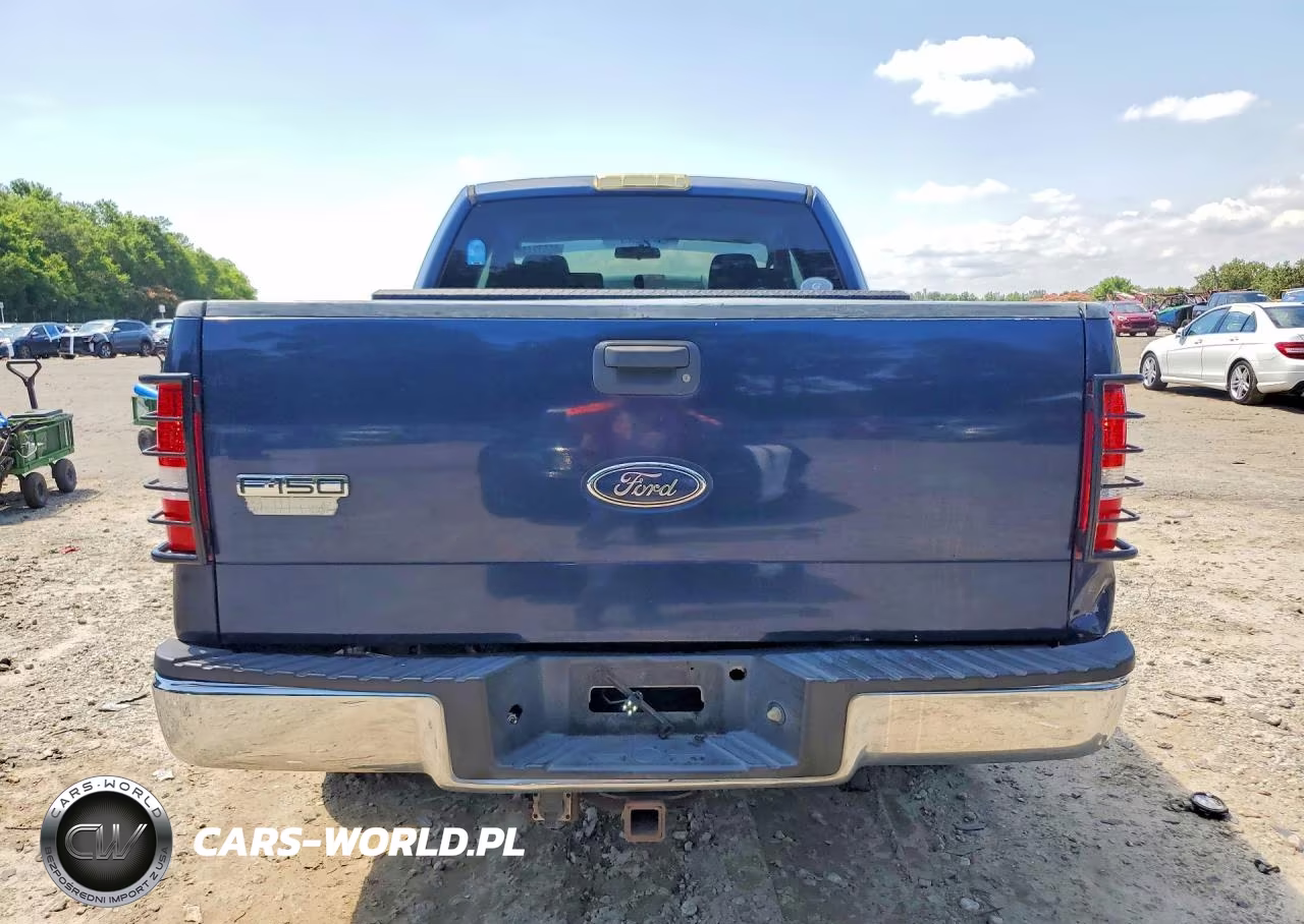 2004 Ford F150 VIN:1FTRX12W94NC02046 - 6