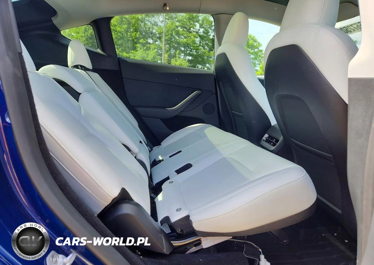 2023 Tesla Model Y VIN:7SAYGDEE4PA171002 - 10