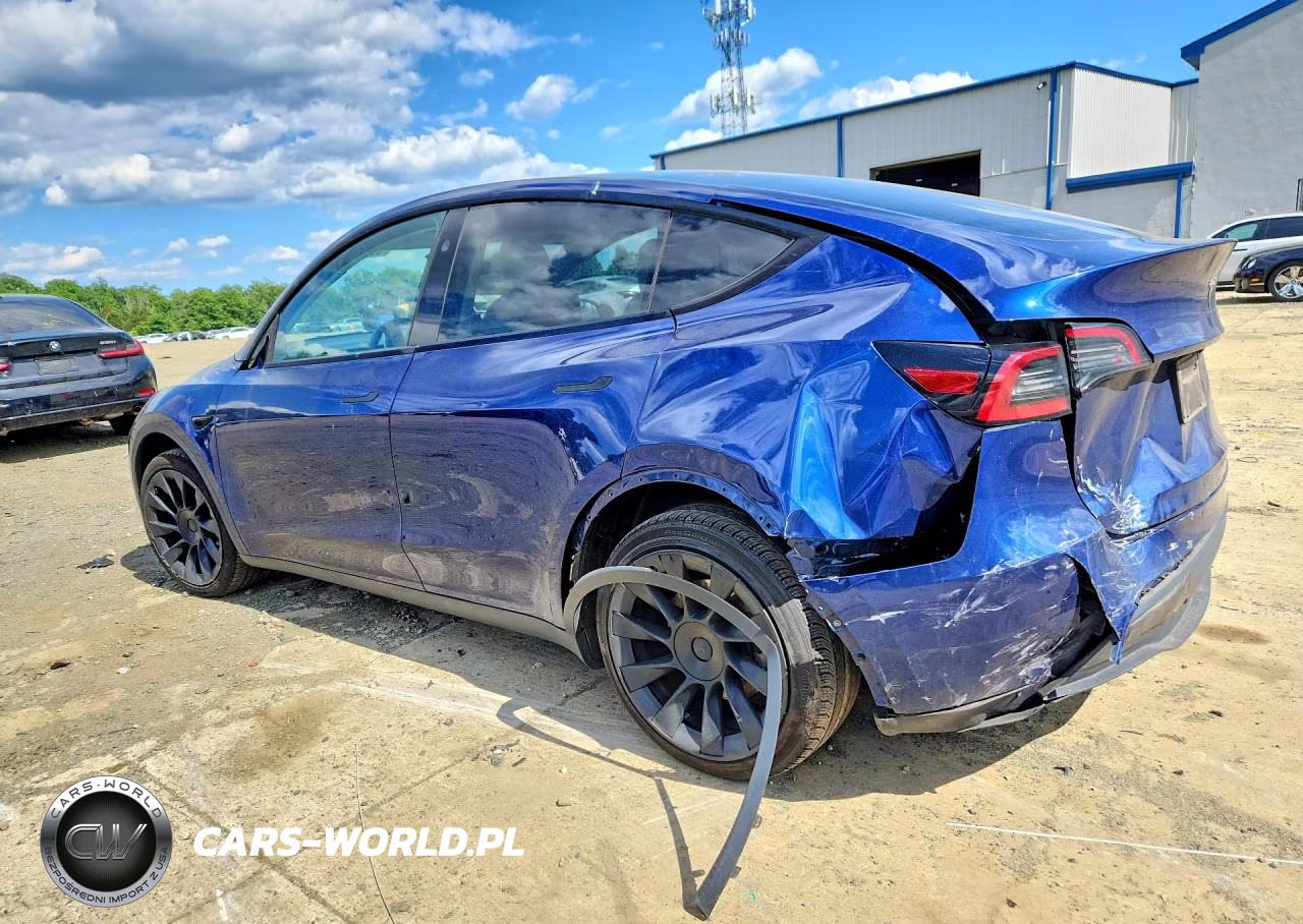 2023 Tesla Model Y VIN:7SAYGDEE4PA171002 - 2