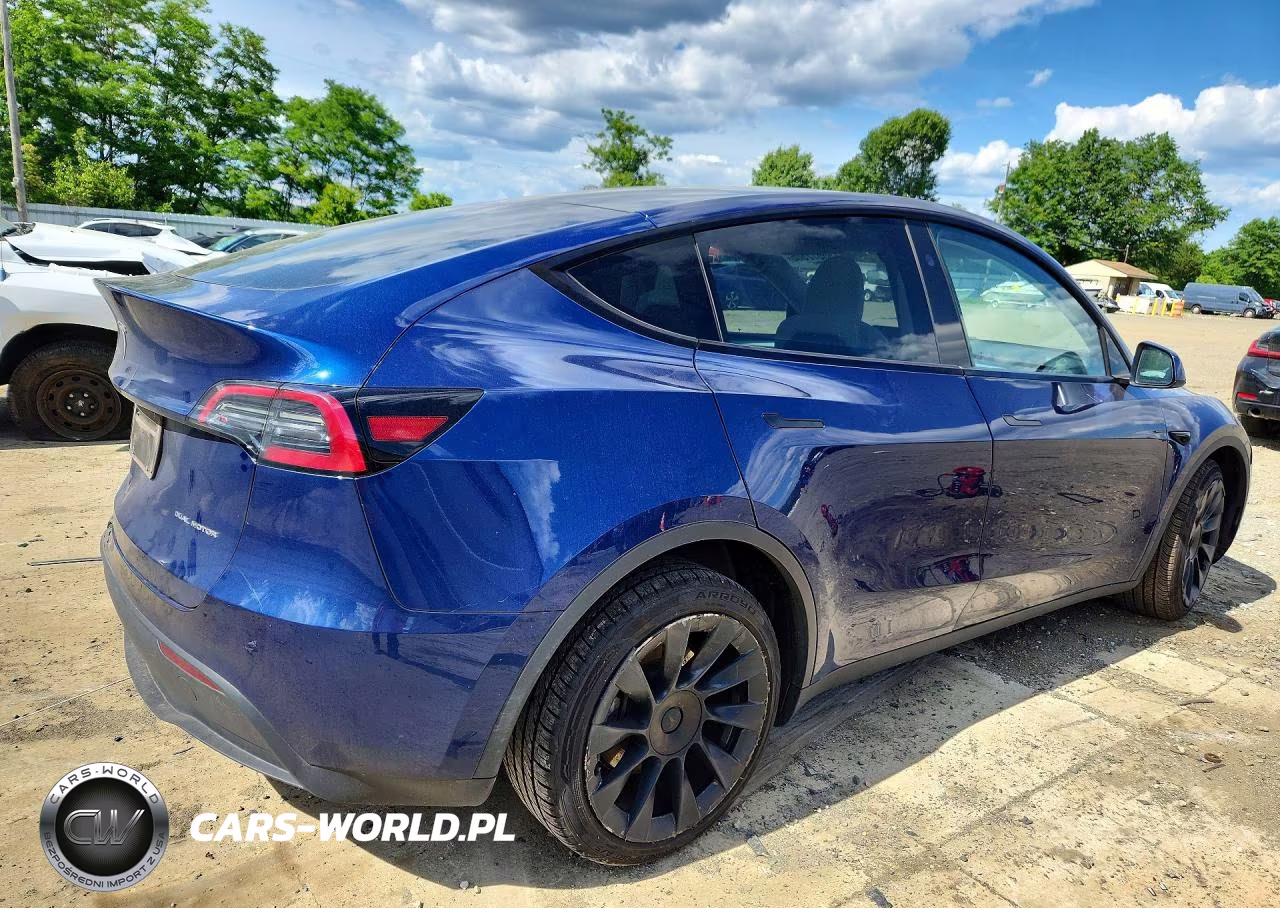 2023 Tesla Model Y VIN:7SAYGDEE4PA171002 - 3
