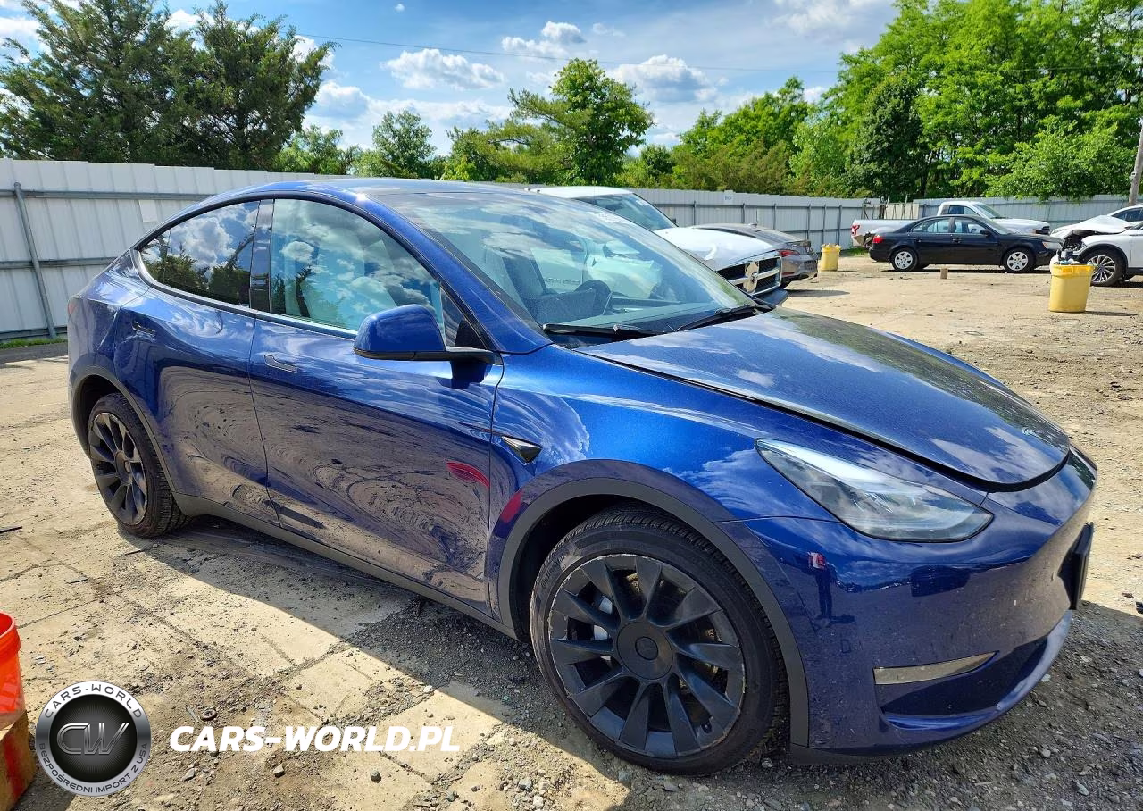 2023 Tesla Model Y VIN:7SAYGDEE4PA171002 - 4