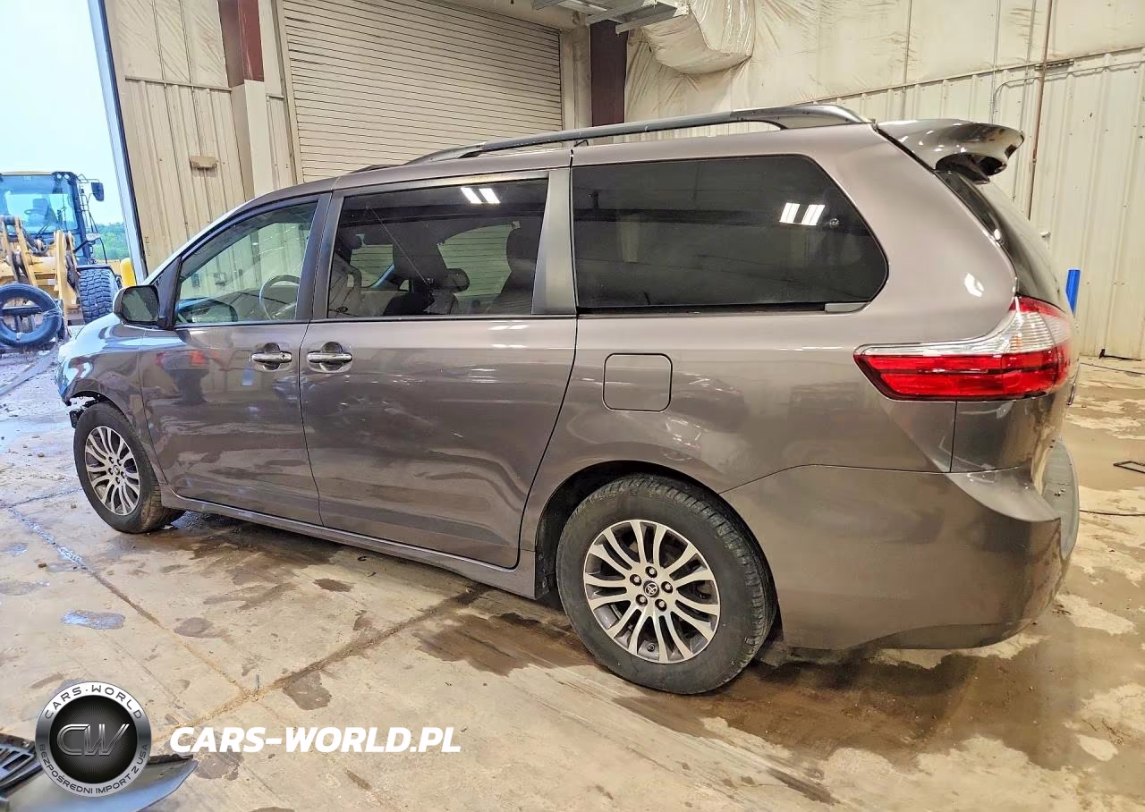 2019 Toyota Sienna Xle 8-Passenger VIN:5TDYZ3DC6KS011678 - 2