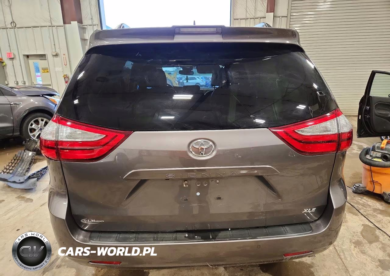 2019 Toyota Sienna Xle 8-Passenger VIN:5TDYZ3DC6KS011678 - 6