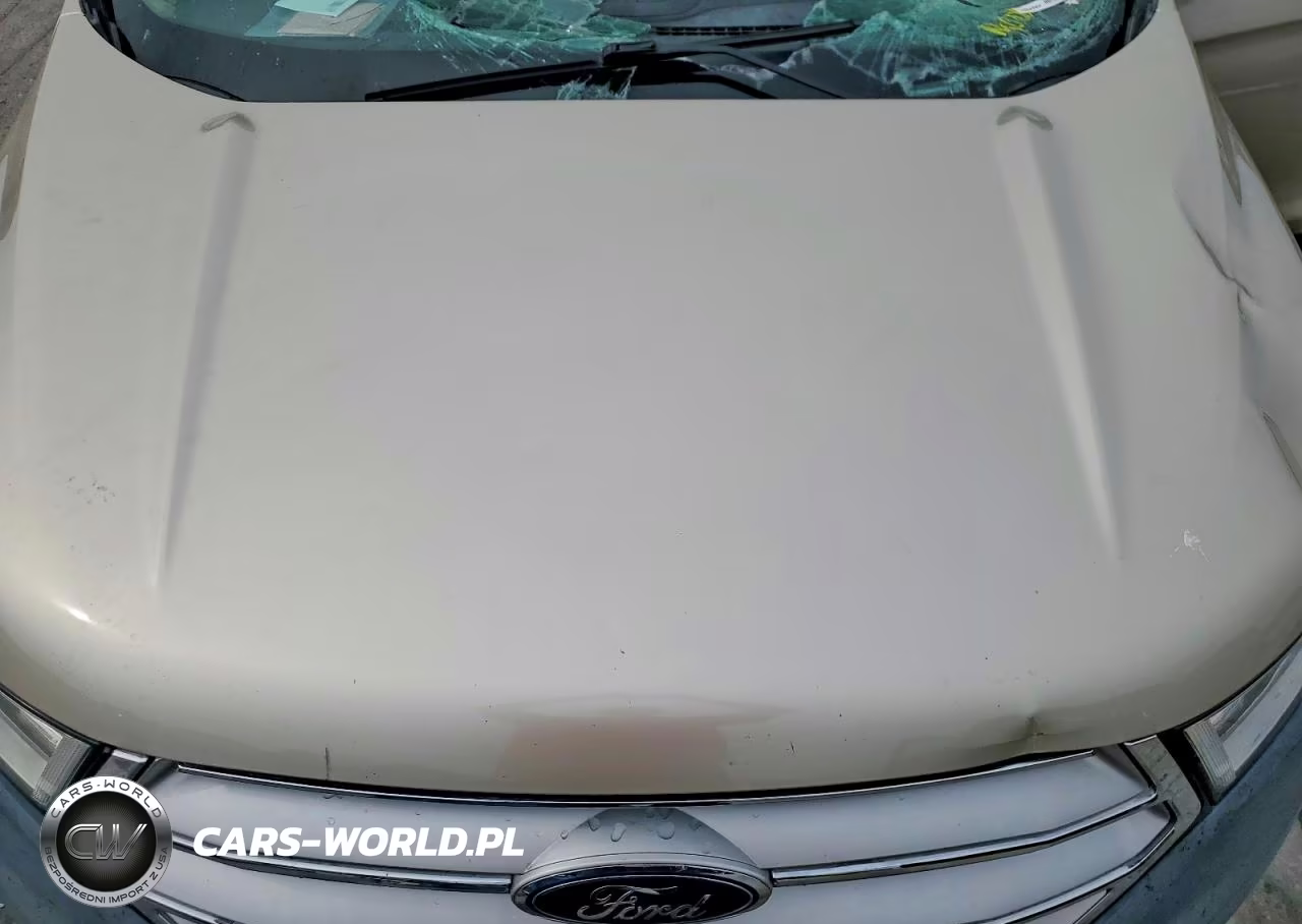 2017 Ford Edge Se VIN:2FMPK3G9XHBC07497 - 12