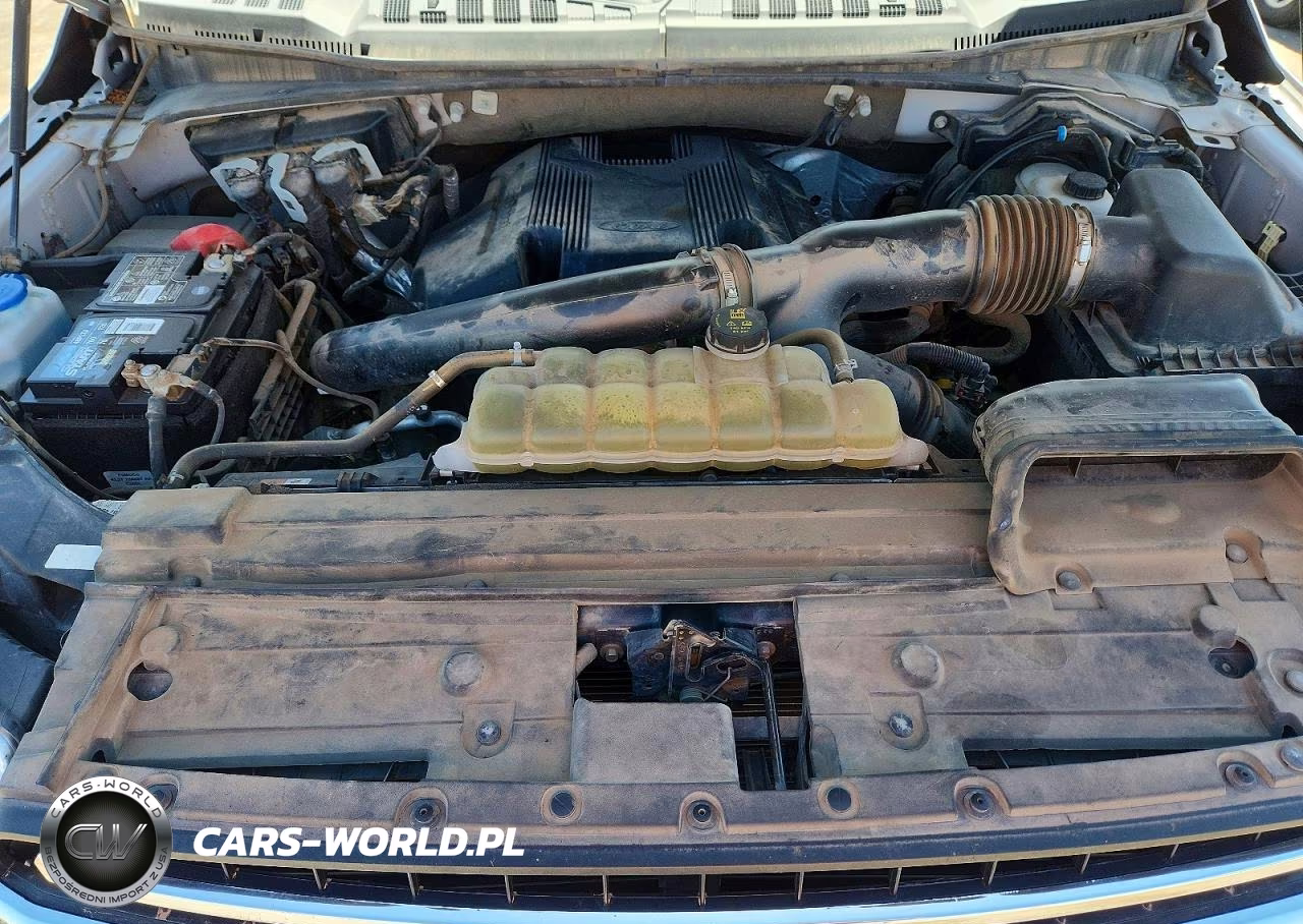 2020 Ford F150 Supercrew VIN:1FTEW1E41LKE08506 - 11
