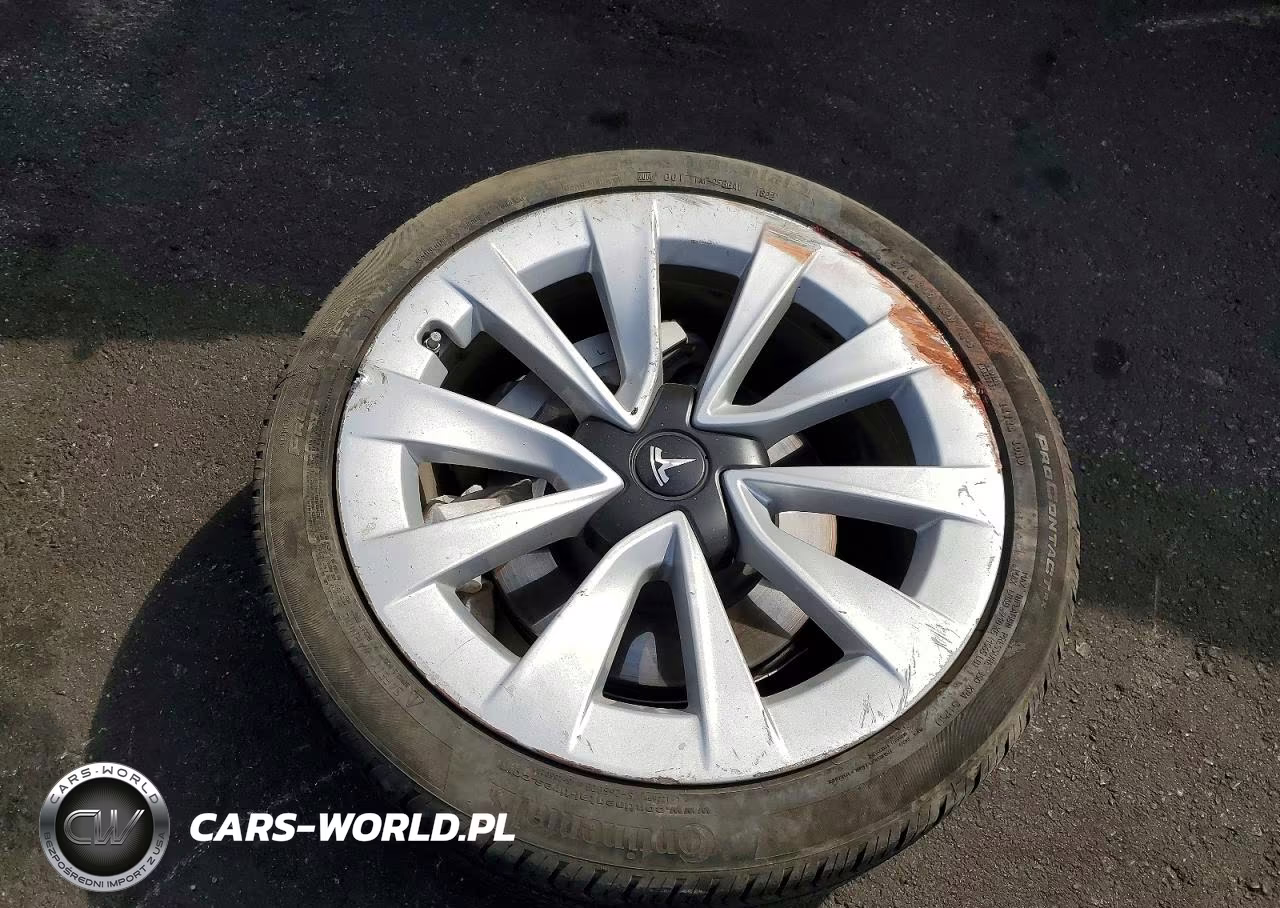 2023 Tesla Model 3 VIN:5YJ3E1EA1PF384078 - 12