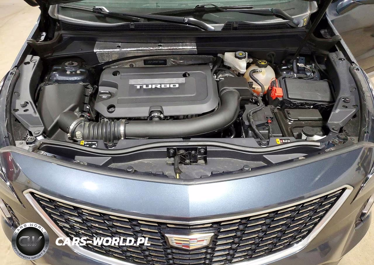 2019 Cadillac Xt4 Premium Luxury VIN:1GYFZDR43KF136324 - 12