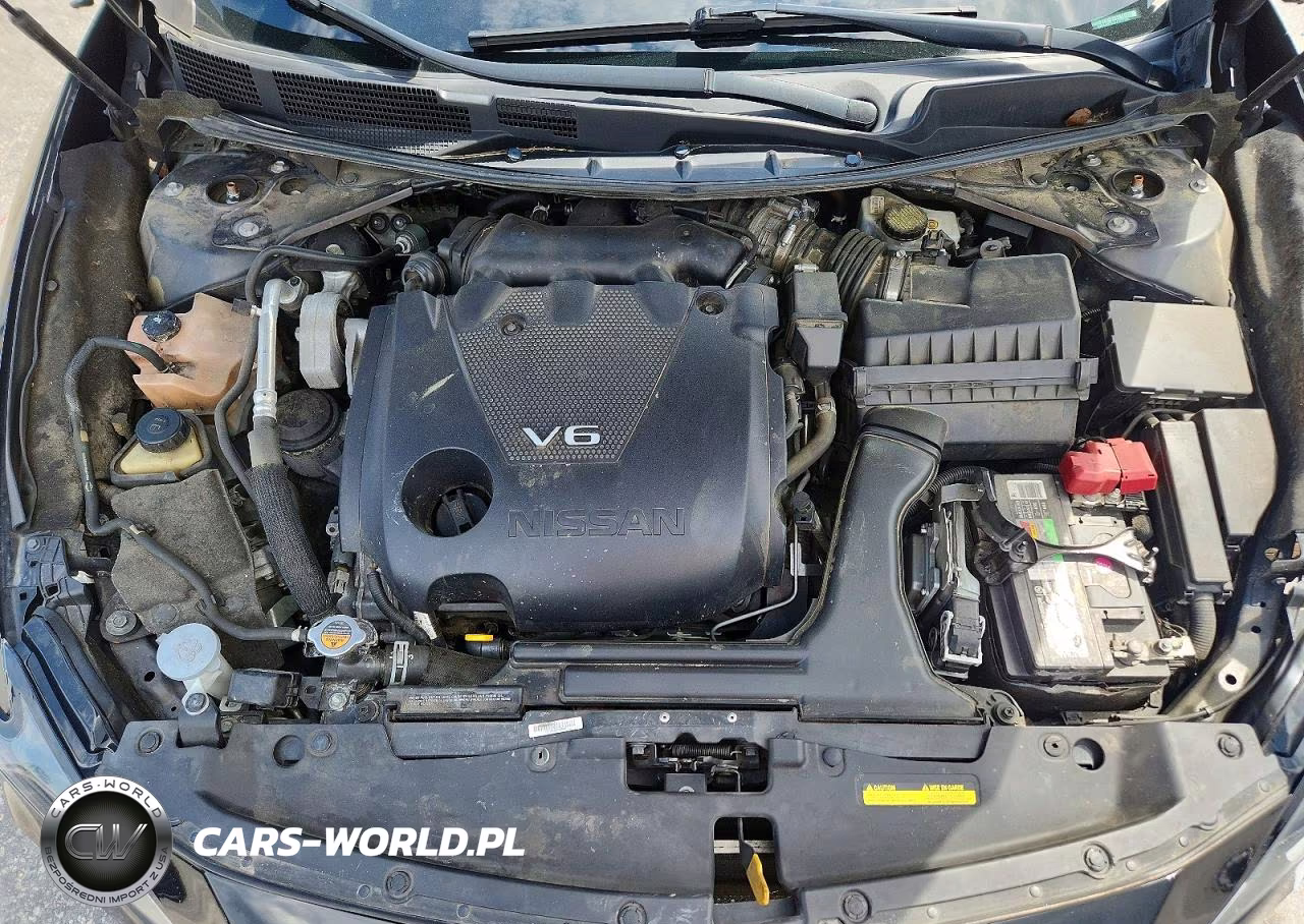 2020 Nissan Maxima Sl VIN:1N4AA6DV1LC377195 - 11
