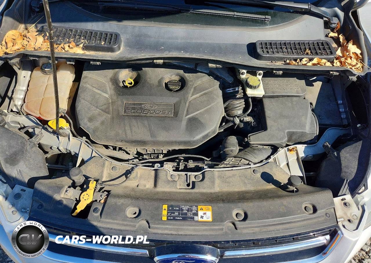 2013 Ford Escape Sel VIN:1FMCU0H9XDUA79241 - 11