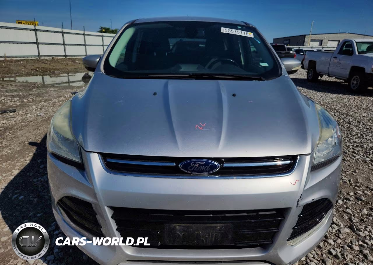 2013 Ford Escape Sel VIN:1FMCU0H9XDUA79241 - 5