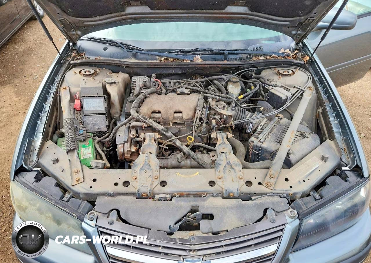 2004 Chevrolet Impala VIN:2G1WF52E049290257 - 11