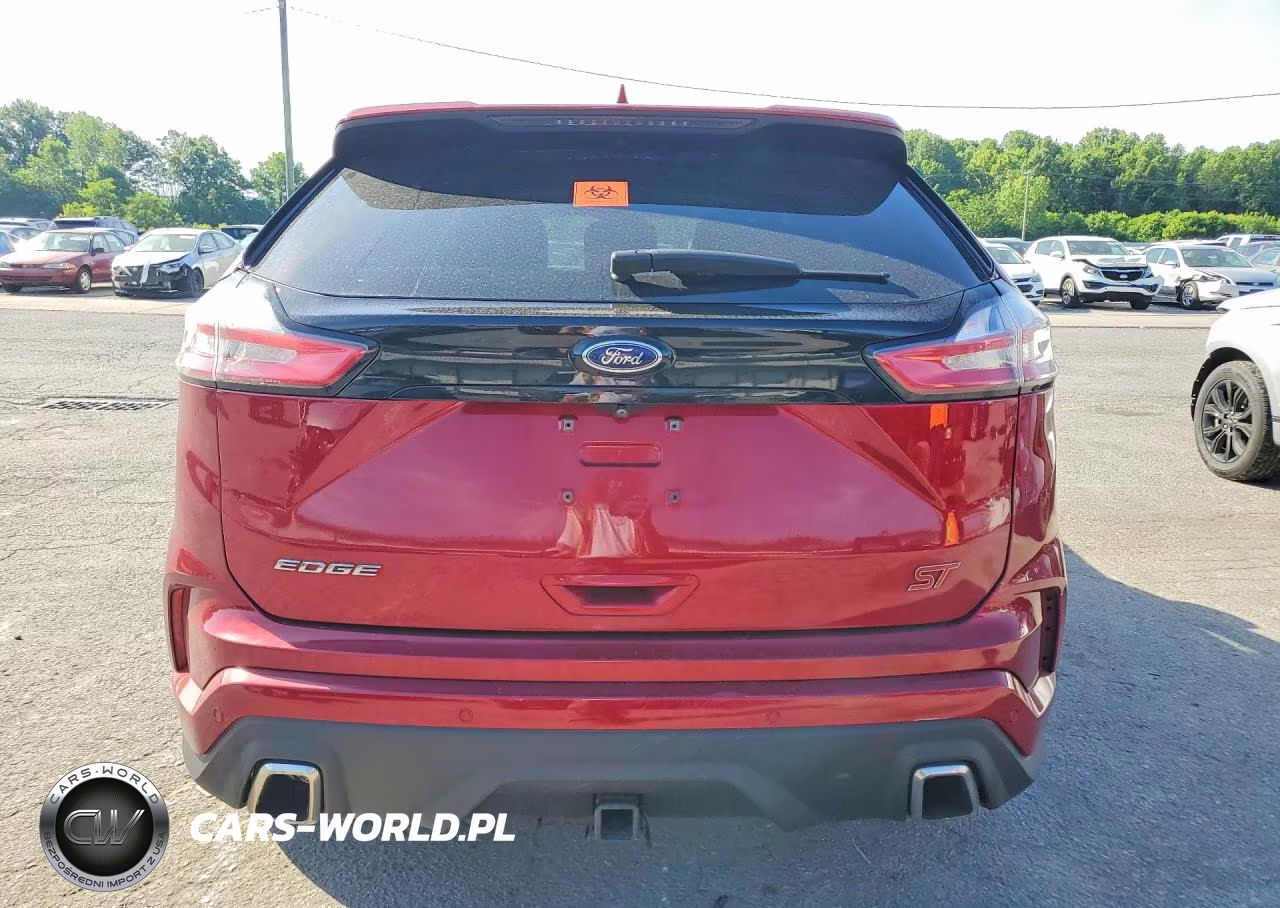 2019 Ford Edge St VIN:2FMPK4AP5KBB63266 - 6