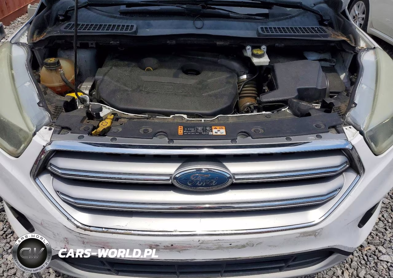 2017 Ford Escape Se VIN:1FMCU0G90HUB67223 - 12