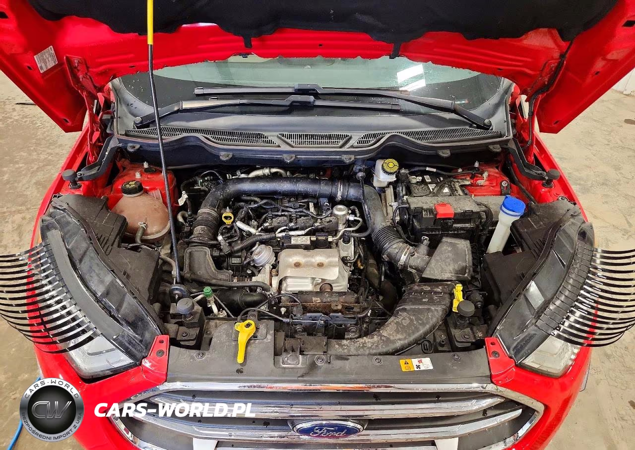 2019 Ford Ecosport Titanium VIN:MAJ3S2KE0KC272180 - 12