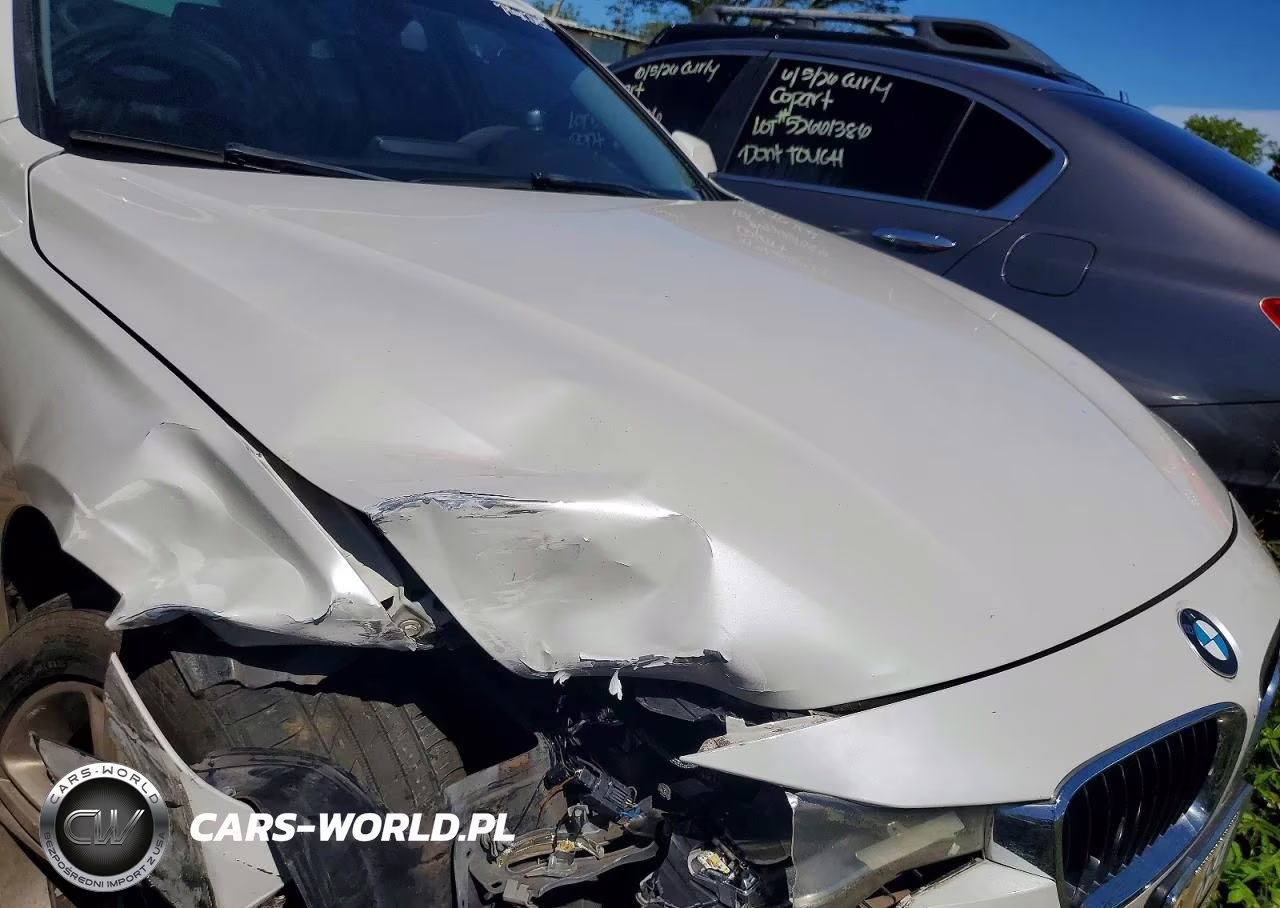2015 BMW 320 I VIN:WBA3B1C54FK140339 - 11
